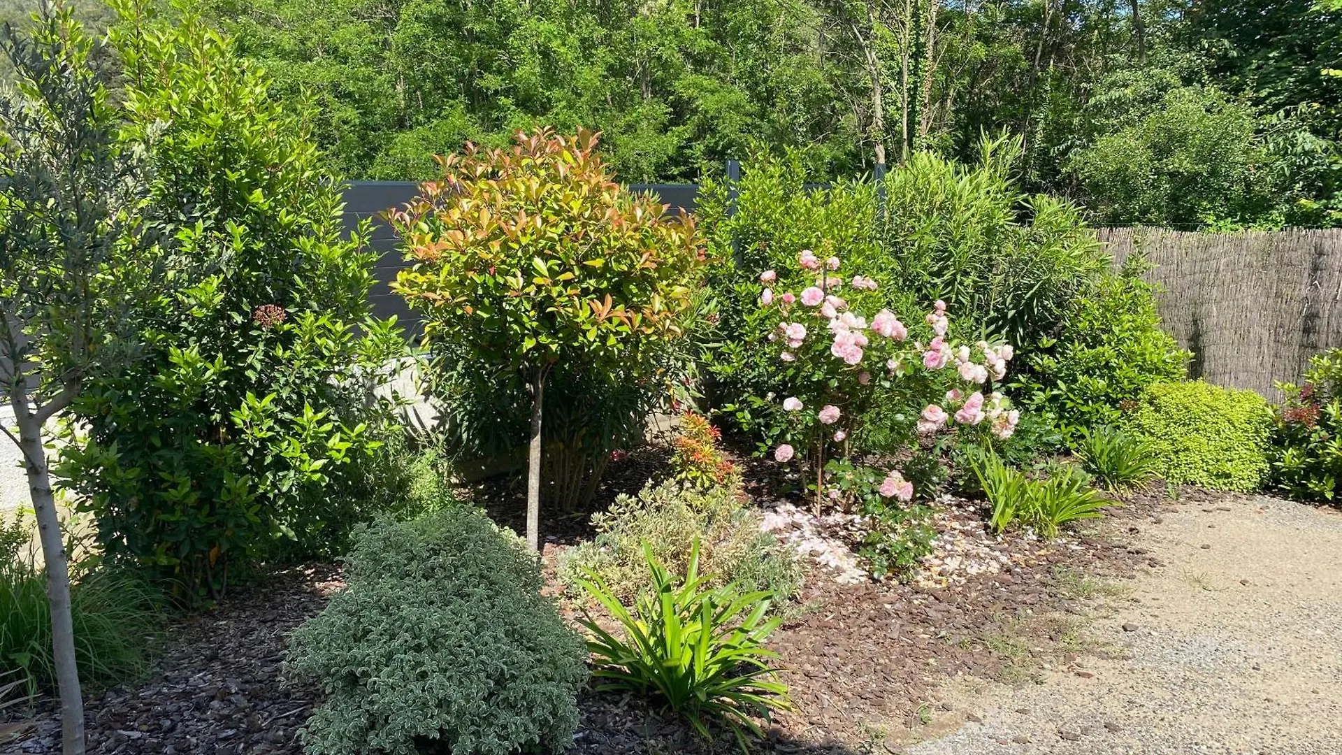 La Petite Caserne - Gite 4 Etoiles - location